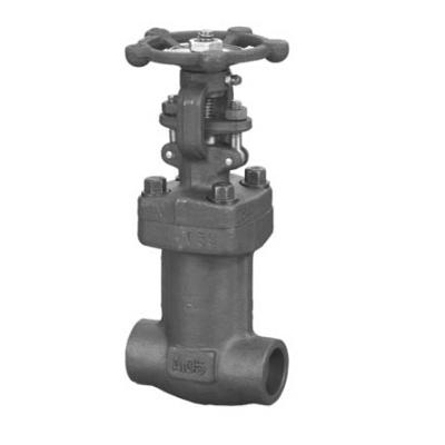 波紋管鍛鋼閘閥